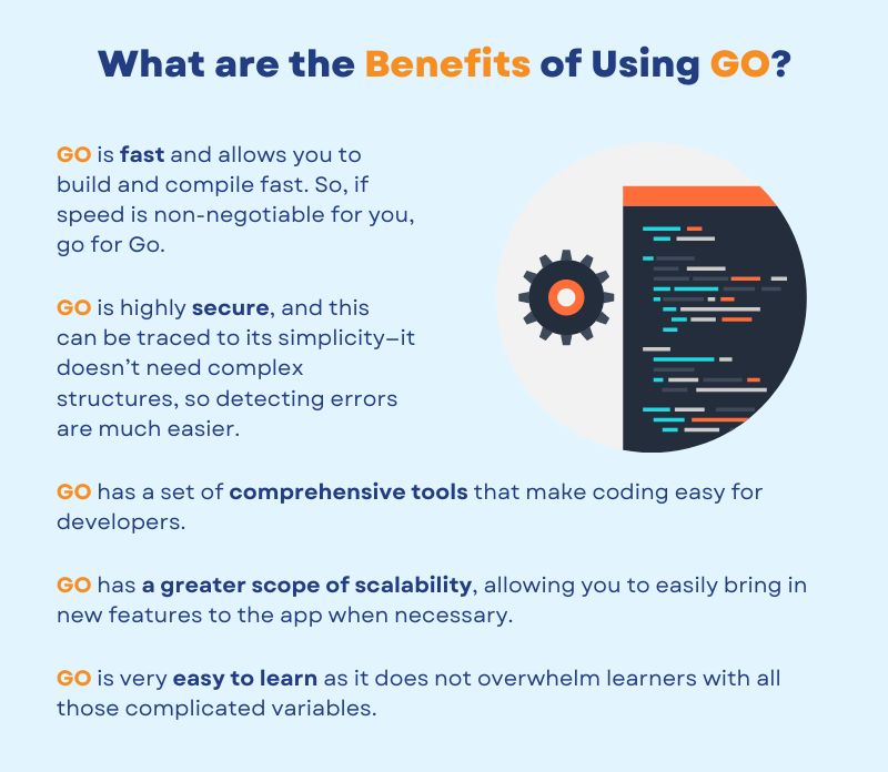 Go vs Python